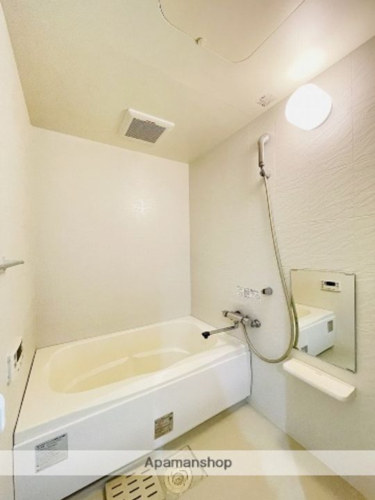 VIARE STORIA(ヴィアーレストーリア)の風呂