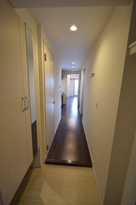 カスタリア新栄Ⅱの玄関