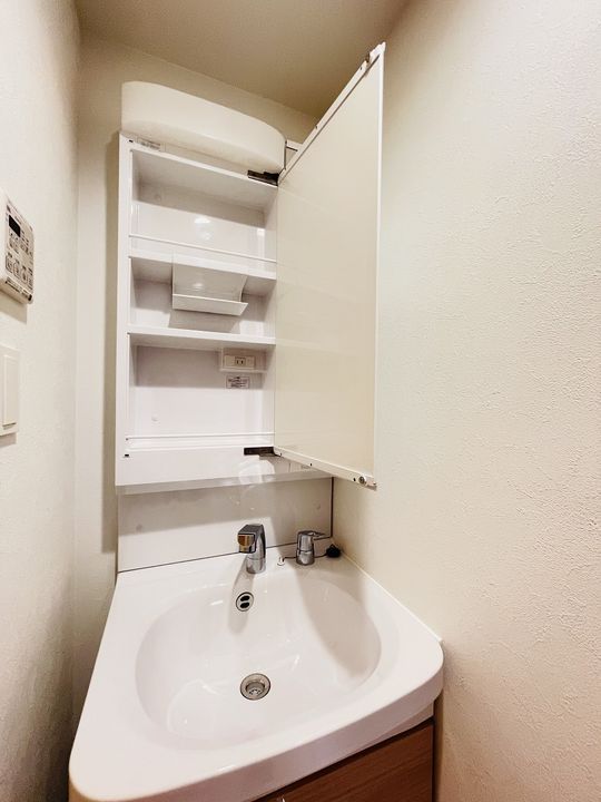 プレサンス太閤通駅前デュプルの内装