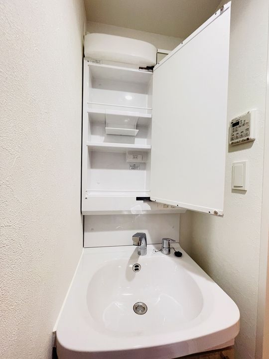 プレサンス太閤通駅前デュプルの内装