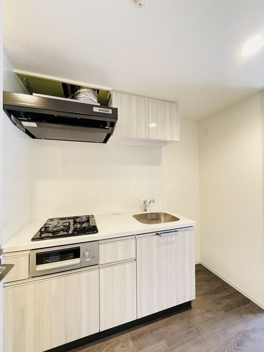 プレサンス太閤通駅前デュプルのキッチン