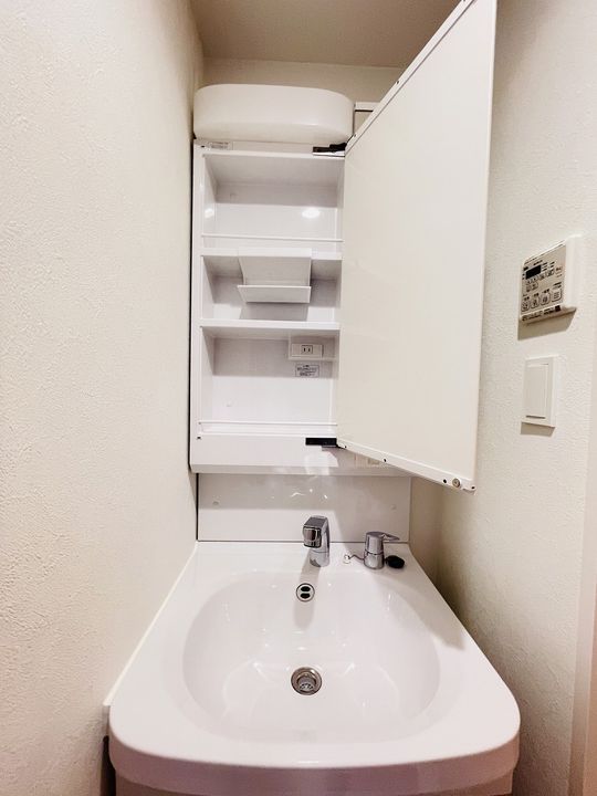 プレサンス太閤通駅前デュプルの内装