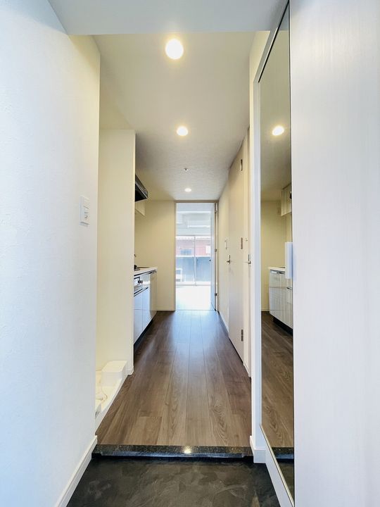 プレサンス太閤通駅前デュプルの内装