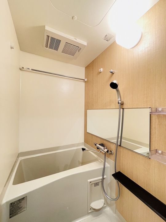 プレサンス太閤通駅前デュプルの風呂