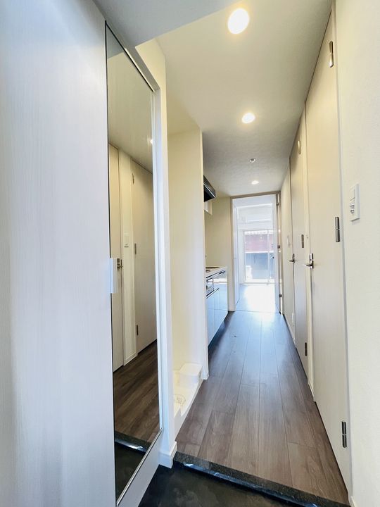 プレサンス太閤通駅前デュプルの内装