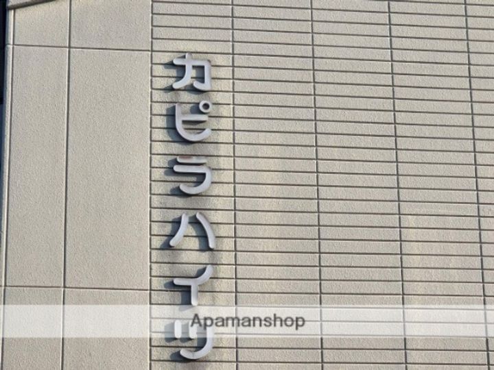 カピラハイツの外観