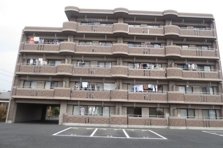 BOA SORUTEのその他画像