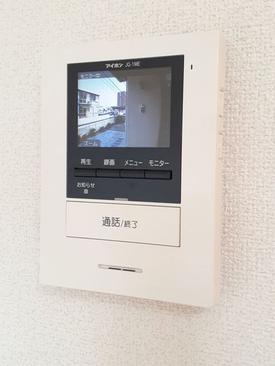モダン・フリシュBのその他画像