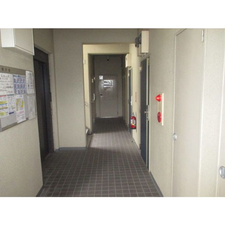 ブルーボンネットのその他画像