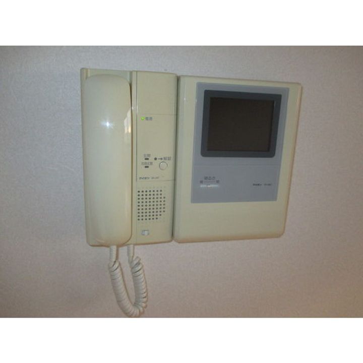 ブルーボンネットのその他画像