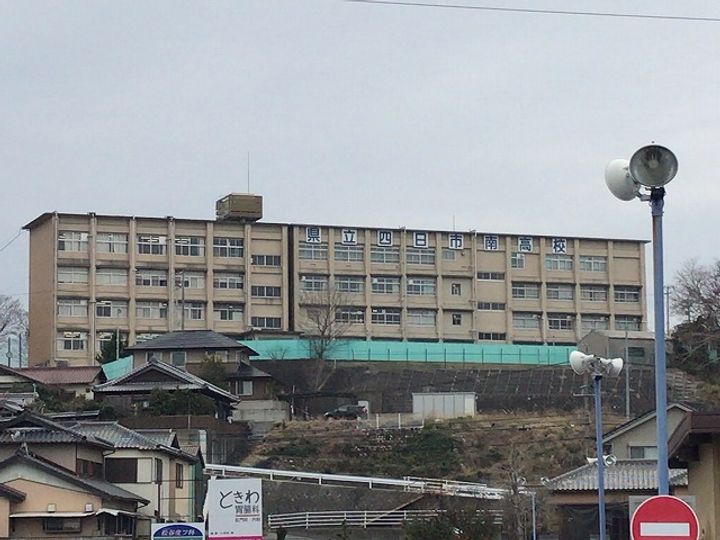 プラムツリーの周辺