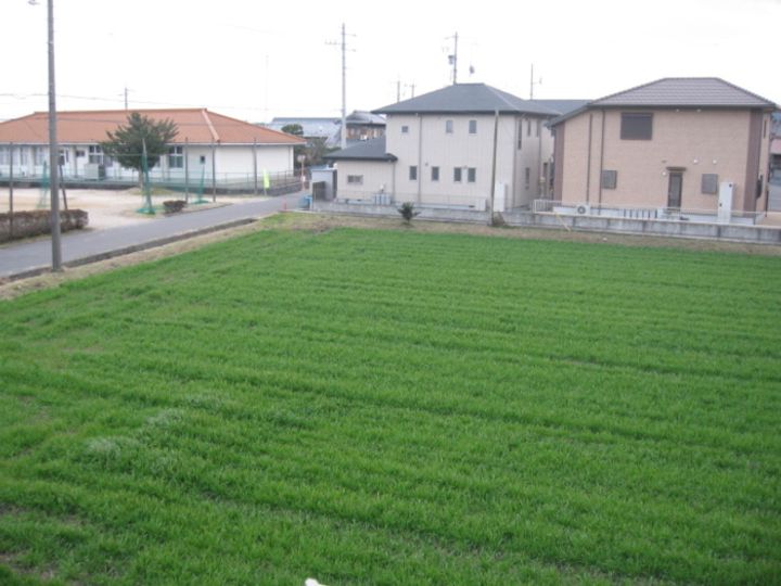 グリーンティアの内装