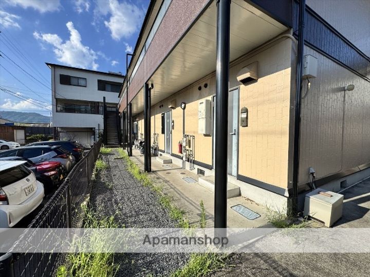 ボナール駒のその他画像