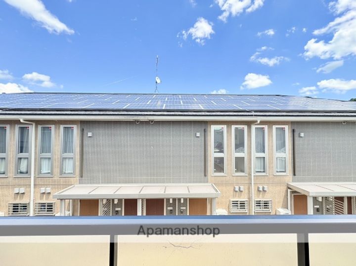 ボナール駒のその他画像