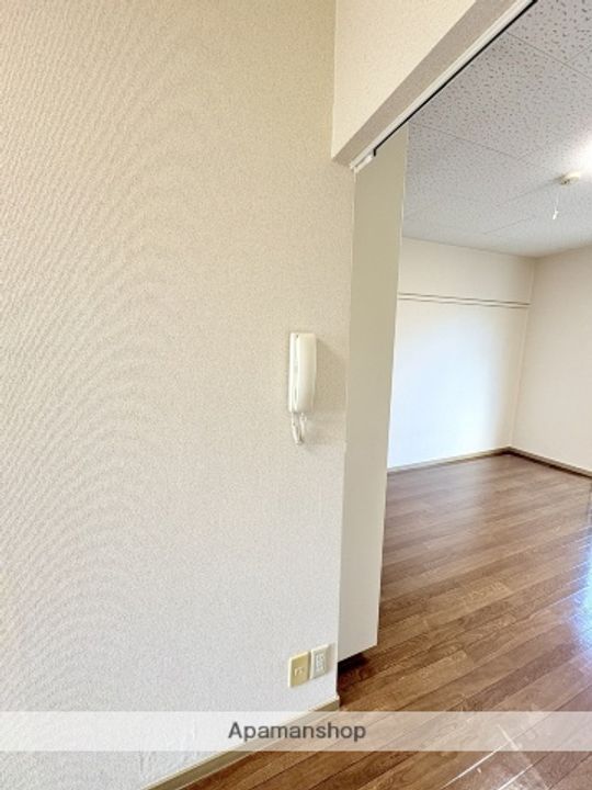 ボナール駒のその他画像