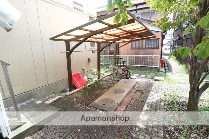 ハイムシノブのその他画像