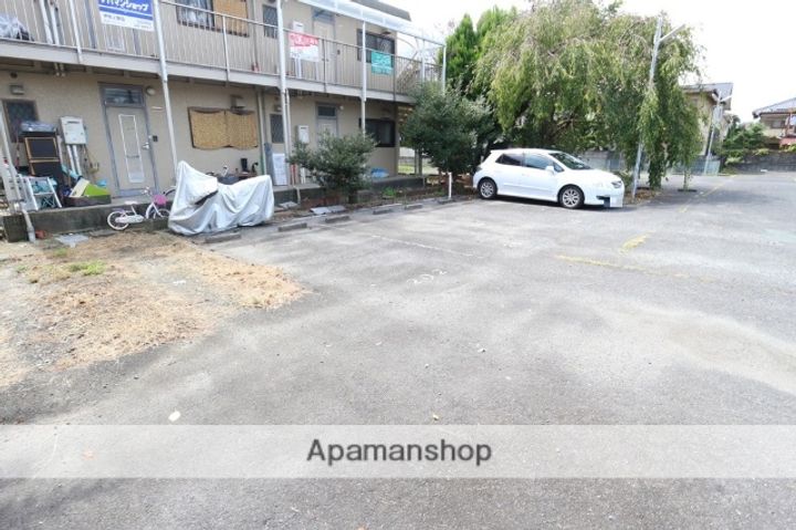 ハイムシノブのその他画像