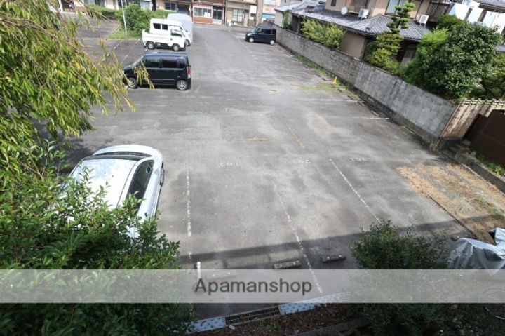 ハイムシノブのその他画像