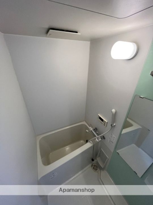 MILLE VILLAGE(ミルヴィラージュ)の風呂