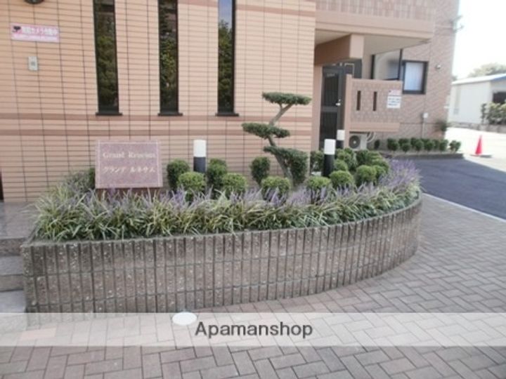 グランデ・ルネサスのその他画像