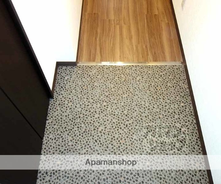 プリュムレーヴ102の玄関