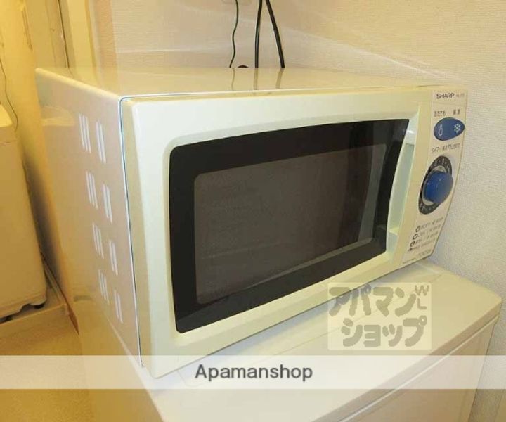 レオパレスヤングフォレストAの内装