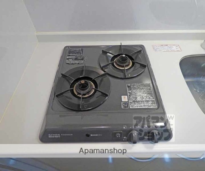 プレサンス京都鴨川彩華303の内装