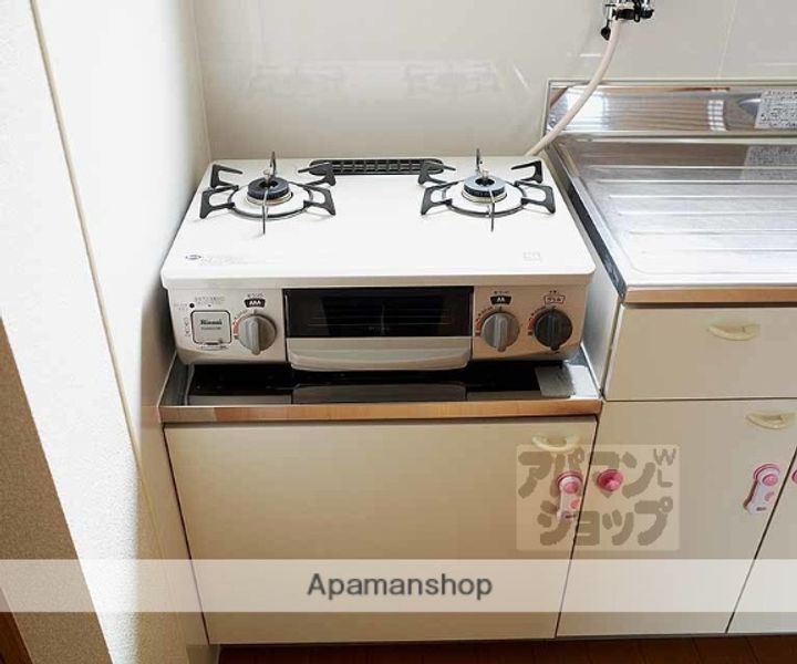 アーバンヒルズテルマエ301の内装