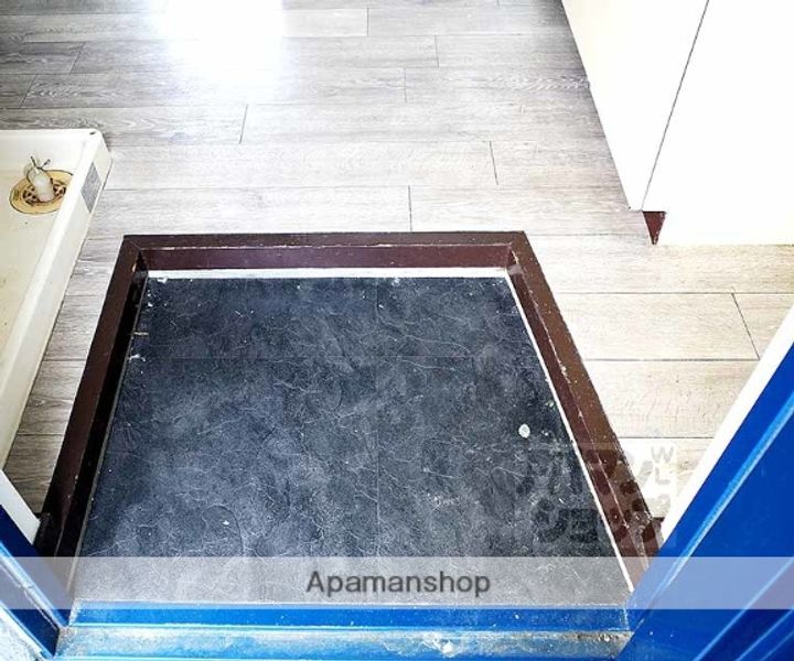 ジュネス一条311の玄関