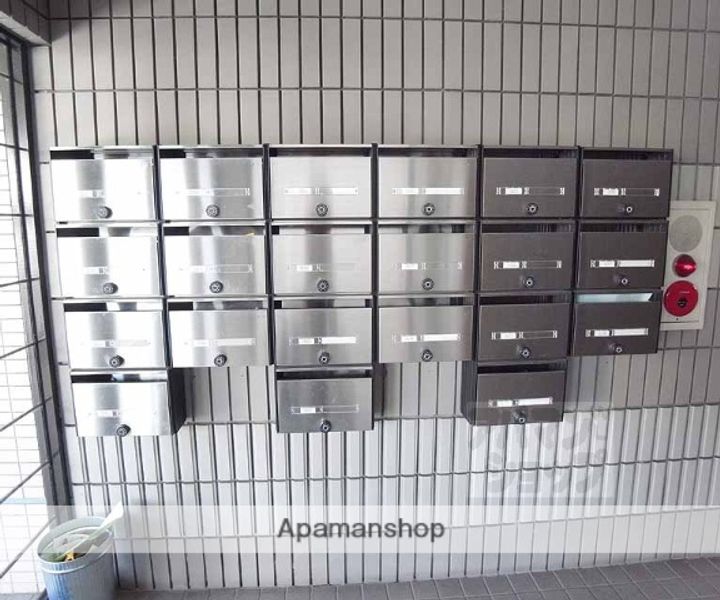 ポインセチア305のその他画像