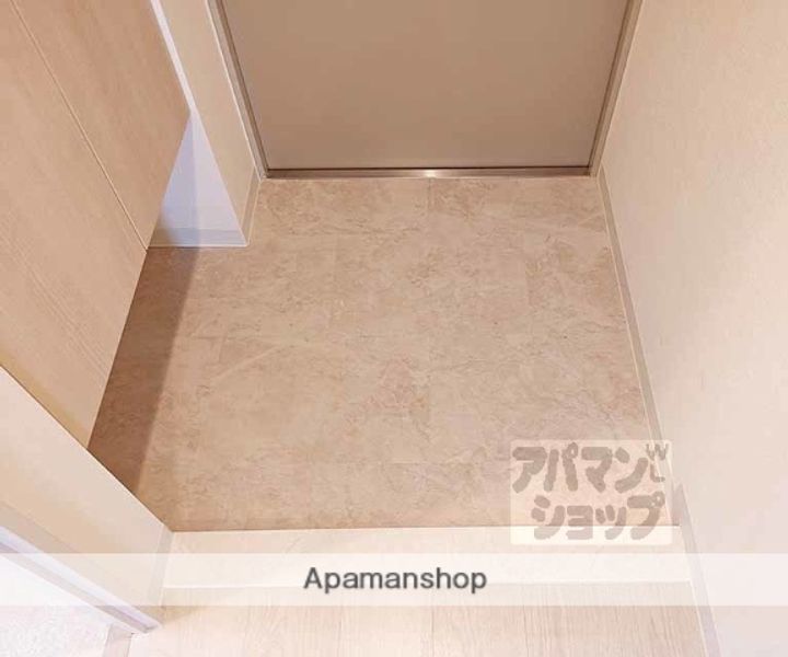 PLUM OWL IIの玄関