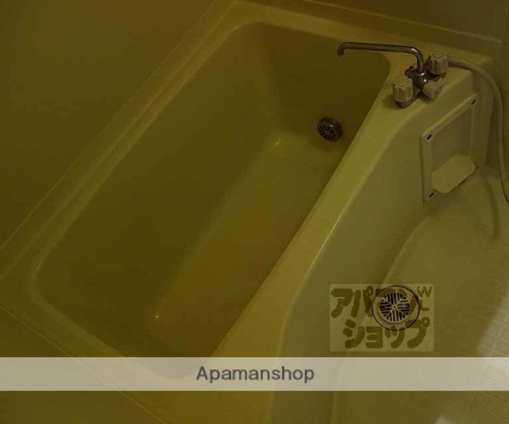 エーデルハイム千代川A-103の風呂