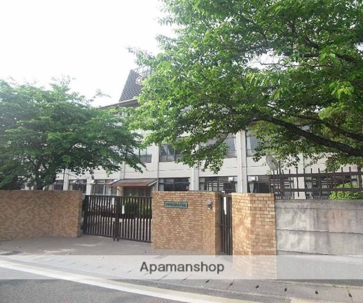 パストラル木野B101の周辺