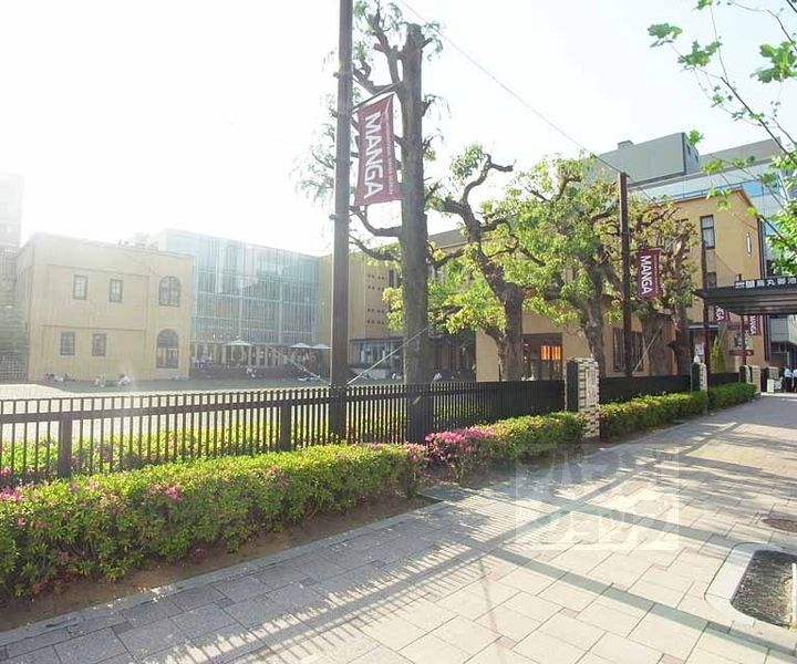 Vine Oak Rabbiの周辺