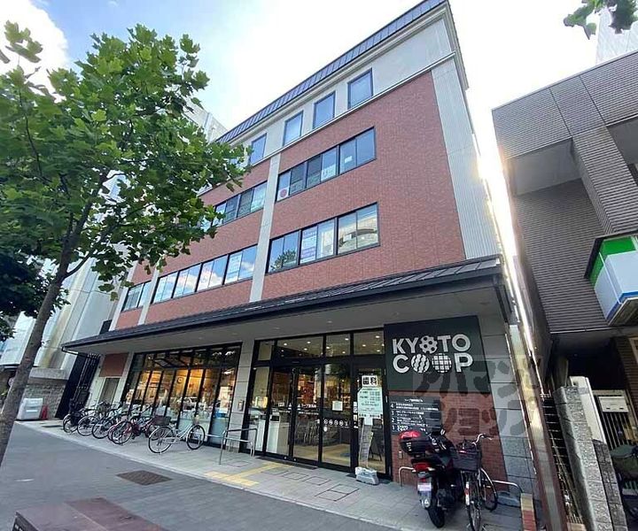 Vine Oak Rabbiの周辺