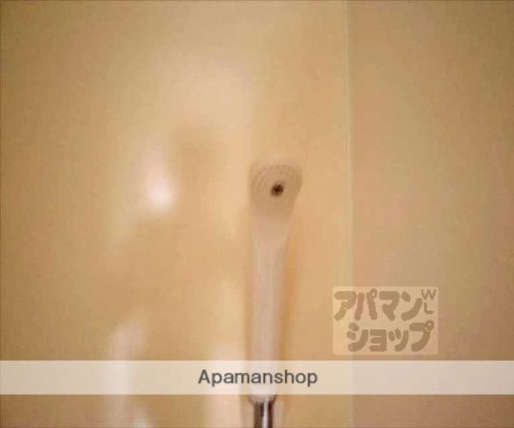 パークサイド岡崎503の内装