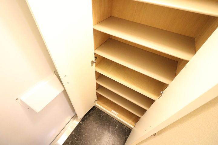 レオパレスALTAⅤの玄関