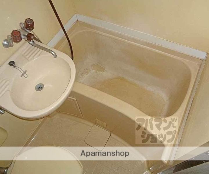 メゾン・ド・パヴィヨン106の風呂