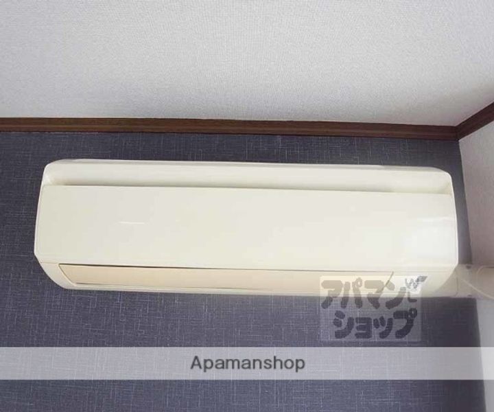 メゾンポインセチア403の内装