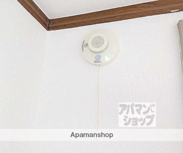 メゾンポインセチア403の内装