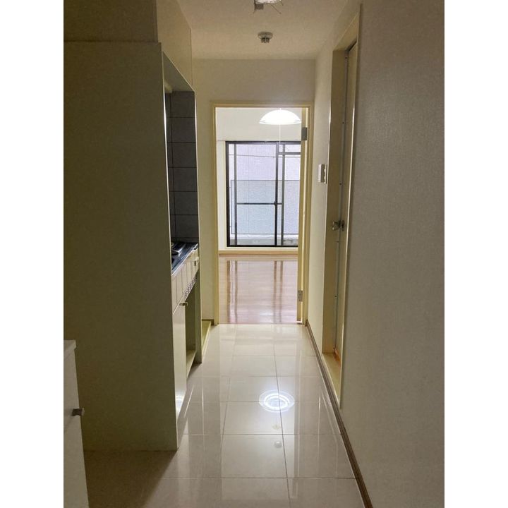 GARNET RESIDENCE下鴨406号室の内装