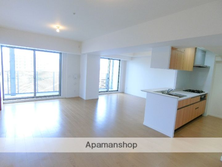 AKADEMOS RESIDENCE305の居間