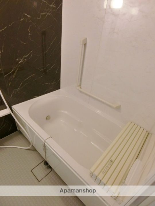 AKADEMOS RESIDENCE305の風呂