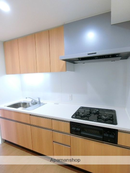 AKADEMOS RESIDENCE402の内装
