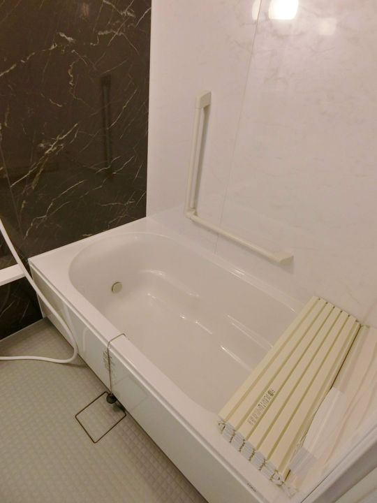 AKADEMOS RESIDENCE205の風呂