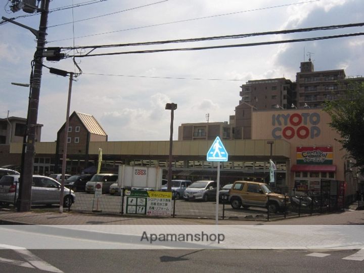 アルカディーナ城陽の周辺