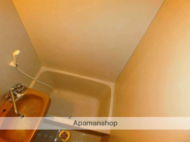 京都府京田辺市三山木谷垣内の賃貸アパート201の風呂