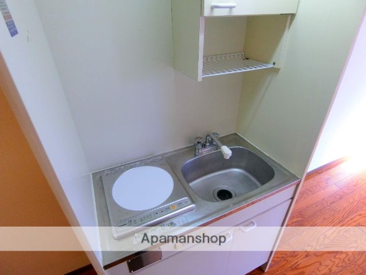 京都府京田辺市草内五ノ坪の賃貸アパート207のキッチン