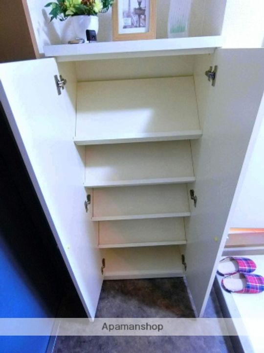 京都府京田辺市三山木垣ノ内の賃貸マンションの内装