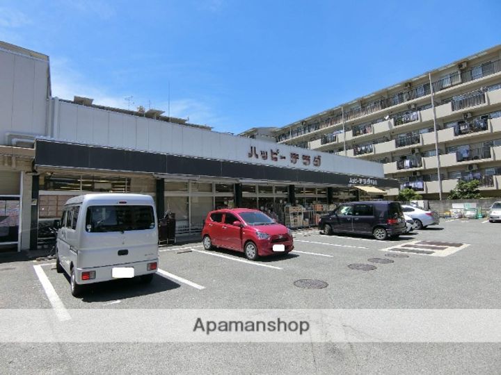 パルスピリア91の周辺